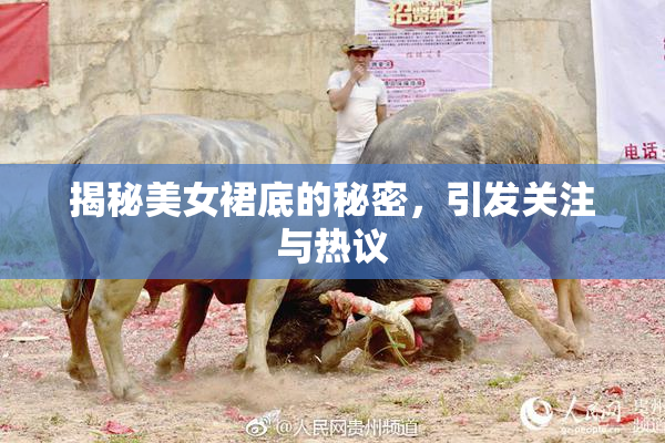 揭秘美女裙底的秘密，引发关注与热议