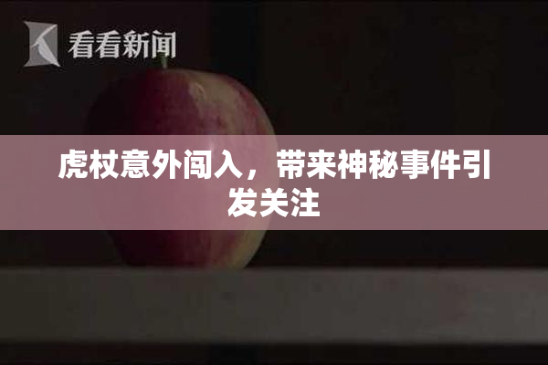 虎杖意外闯入，带来神秘事件引发关注