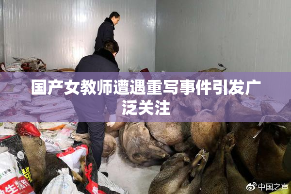 国产女教师遭遇重写事件引发广泛关注