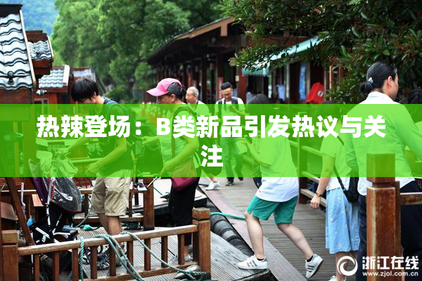 热辣登场：B类新品引发热议与关注