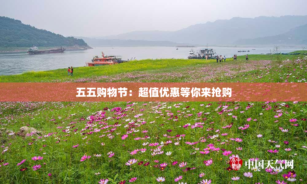 五五购物节：超值优惠等你来抢购