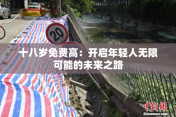 十八岁免费高：开启年轻人无限可能的未来之路