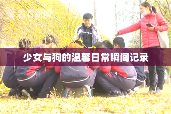 少女与狗的温馨日常瞬间记录