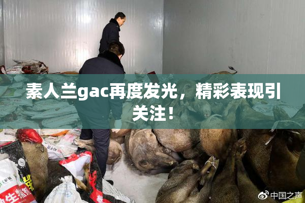 素人兰gac再度发光，精彩表现引关注！