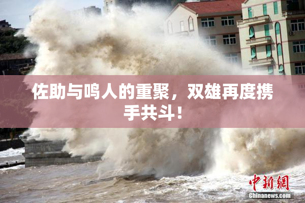 佐助与鸣人的重聚，双雄再度携手共斗！