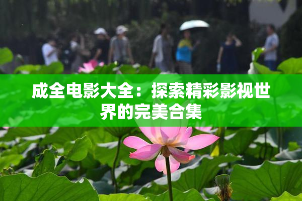 成全电影大全：探索精彩影视世界的完美合集