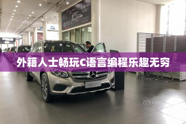 外籍人士畅玩C语言编程乐趣无穷
