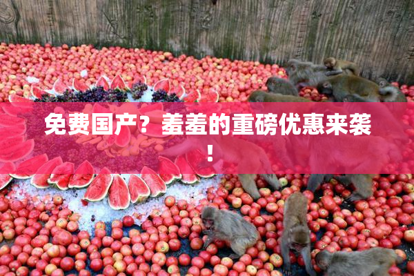 免费国产？羞羞的重磅优惠来袭！