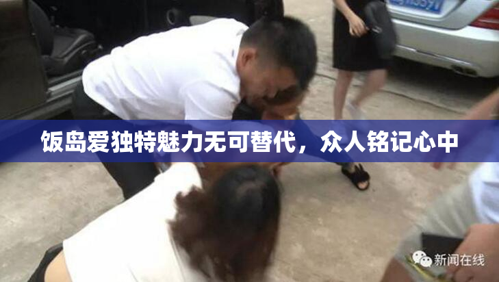 饭岛爱独特魅力无可替代，众人铭记心中