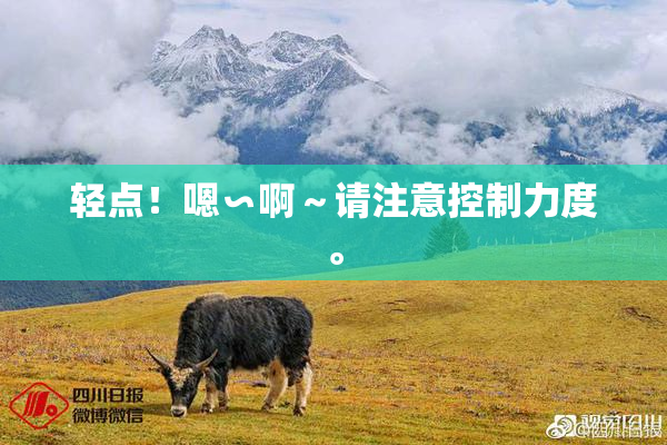 轻点！嗯∽啊～请注意控制力度。