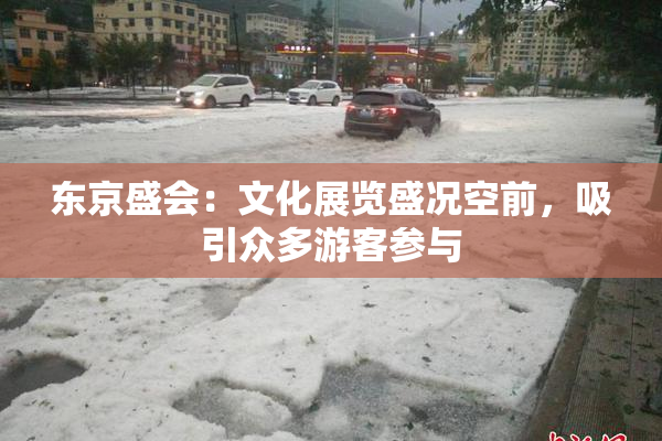 东京盛会：文化展览盛况空前，吸引众多游客参与