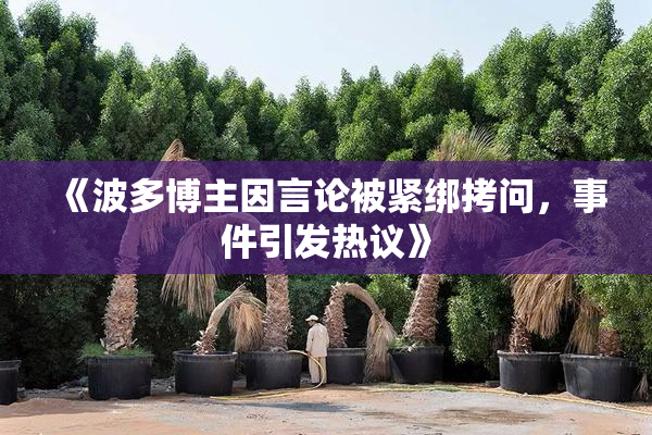 《波多博主因言论被紧绑拷问，事件引发热议》