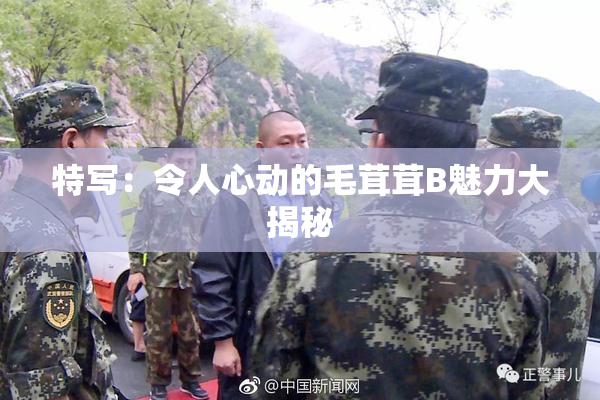 特写：令人心动的毛茸茸B魅力大揭秘