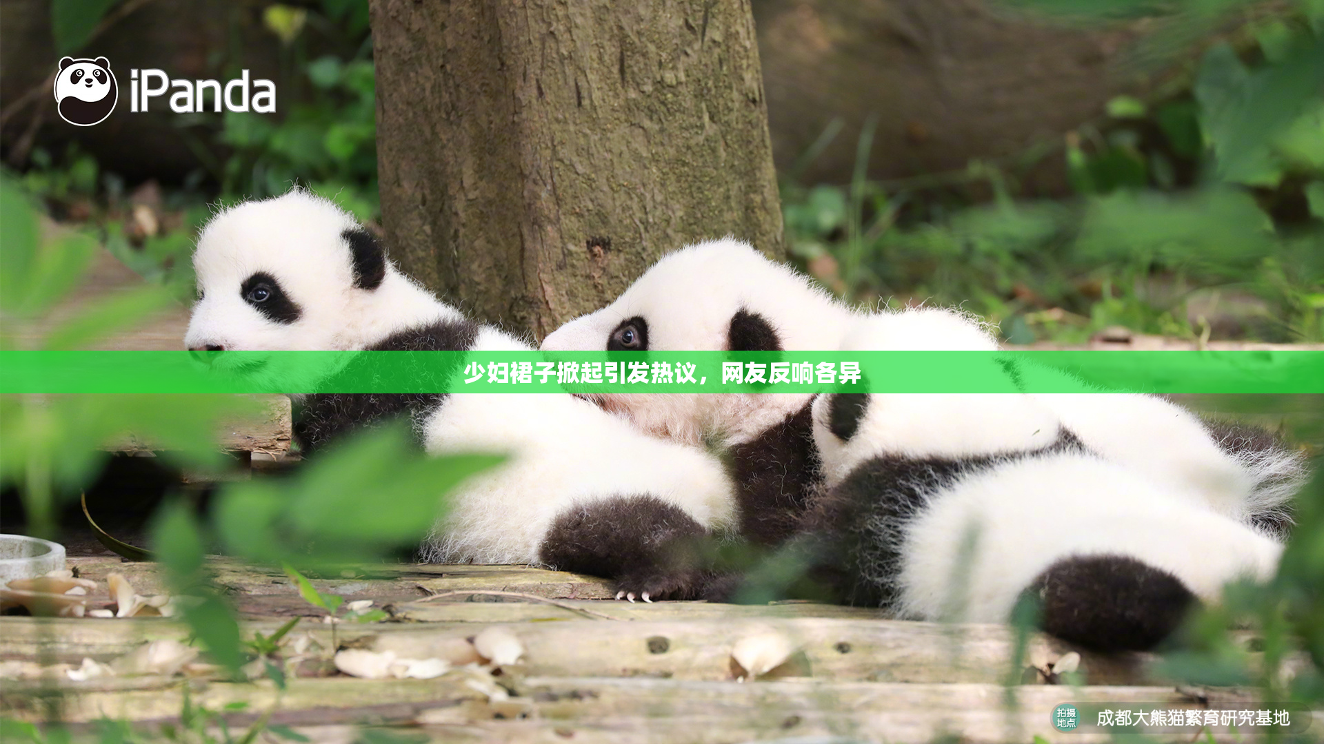 少妇裙子掀起引发热议，网友反响各异