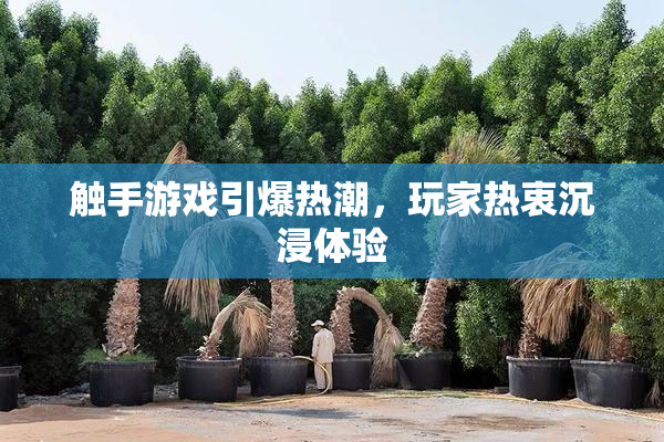 触手游戏引爆热潮，玩家热衷沉浸体验