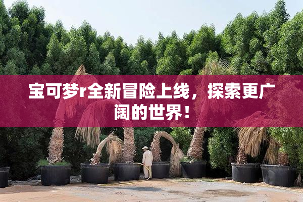 宝可梦r全新冒险上线，探索更广阔的世界！
