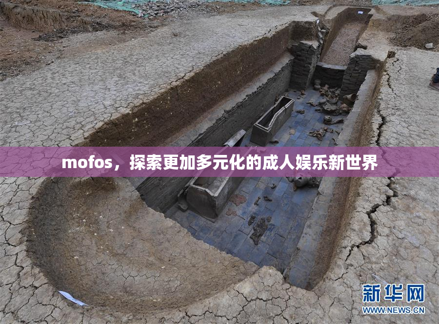 mofos，探索更加多元化的成人娱乐新世界