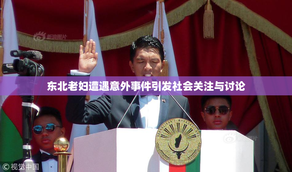 东北老妇遭遇意外事件引发社会关注与讨论