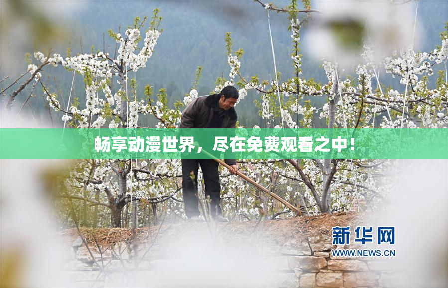 畅享动漫世界，尽在免费观看之中！