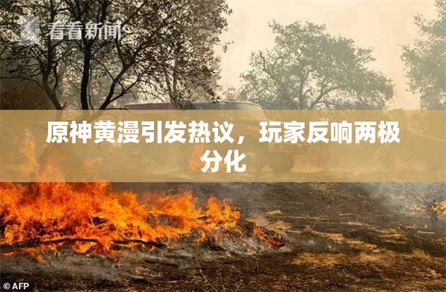 原神黄漫引发热议，玩家反响两极分化