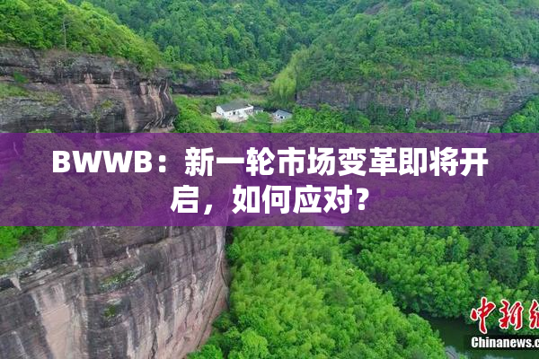 BWWB：新一轮市场变革即将开启，如何应对？