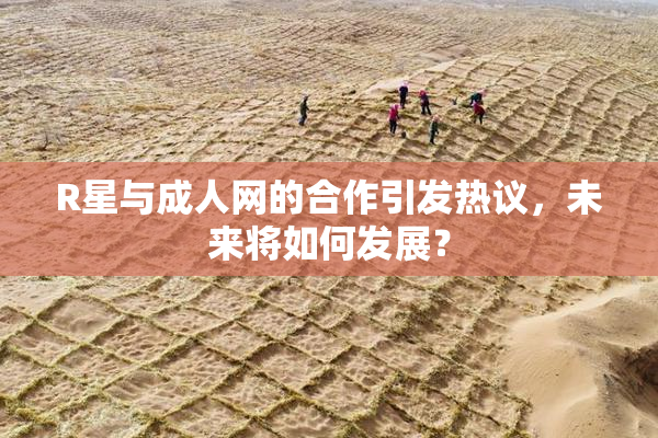 R星与成人网的合作引发热议，未来将如何发展？