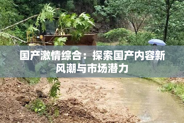 国产激情综合：探索国产内容新风潮与市场潜力