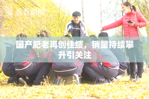 国产肥老再创佳绩，销量持续攀升引关注