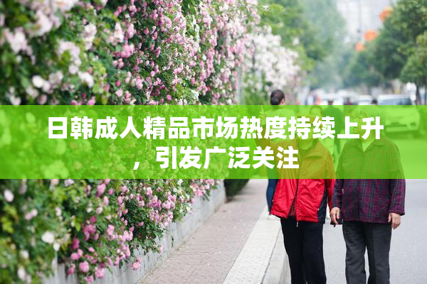 日韩成人精品市场热度持续上升，引发广泛关注