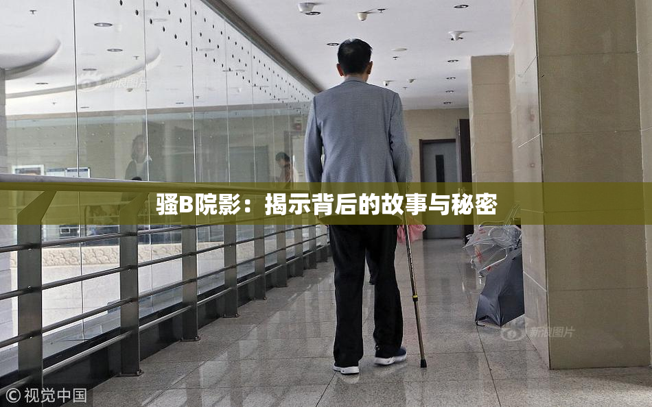 骚B院影：揭示背后的故事与秘密