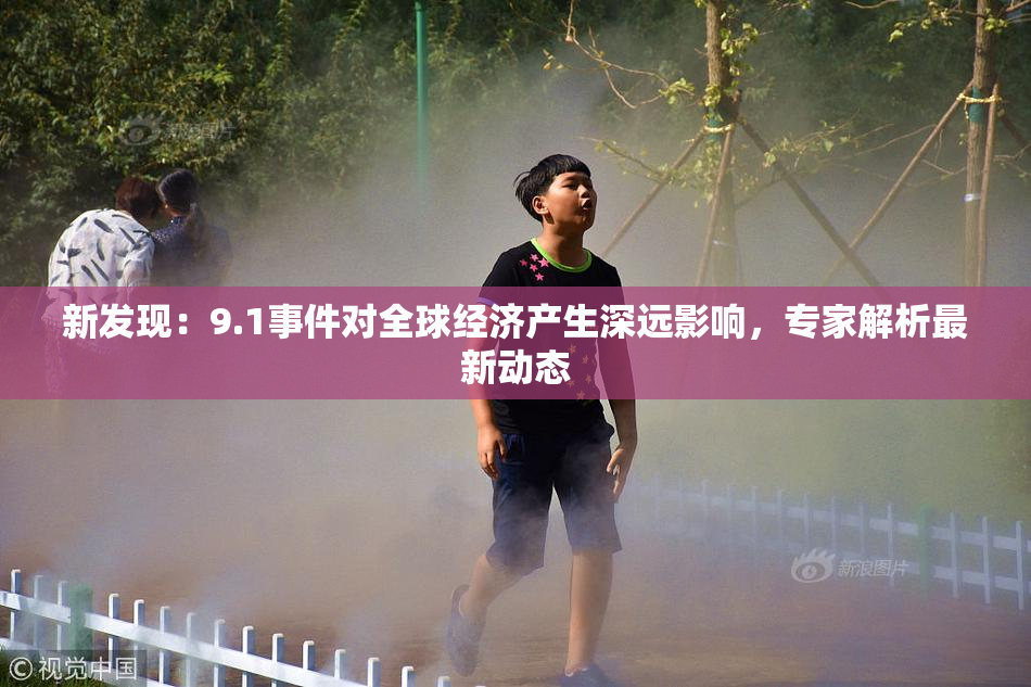 新发现：9.1事件对全球经济产生深远影响，专家解析最新动态