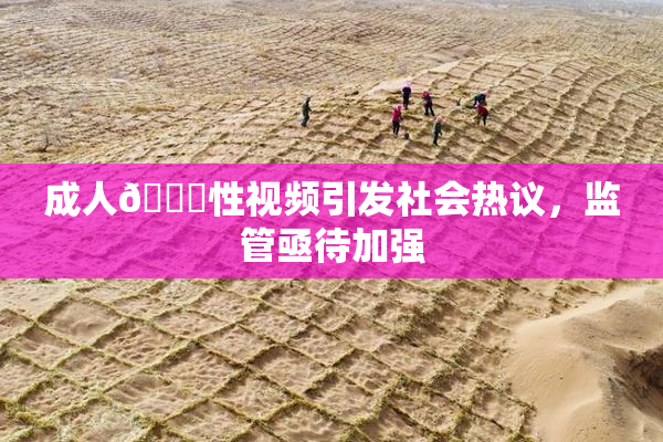 成人🔞性视频引发社会热议，监管亟待加强