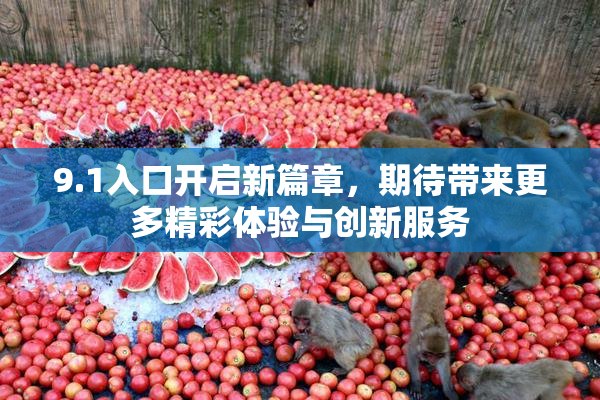 9.1入口开启新篇章，期待带来更多精彩体验与创新服务