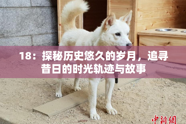 18：探秘历史悠久的岁月，追寻昔日的时光轨迹与故事