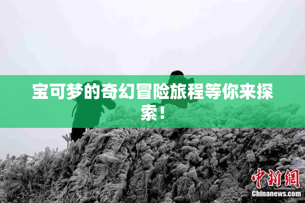 宝可梦的奇幻冒险旅程等你来探索！