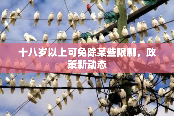 十八岁以上可免除某些限制，政策新动态