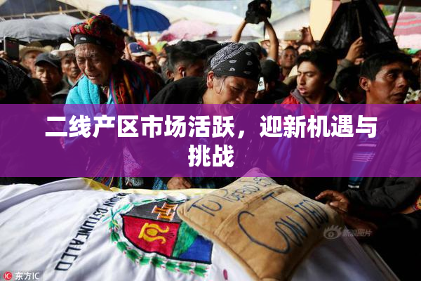 二线产区市场活跃，迎新机遇与挑战