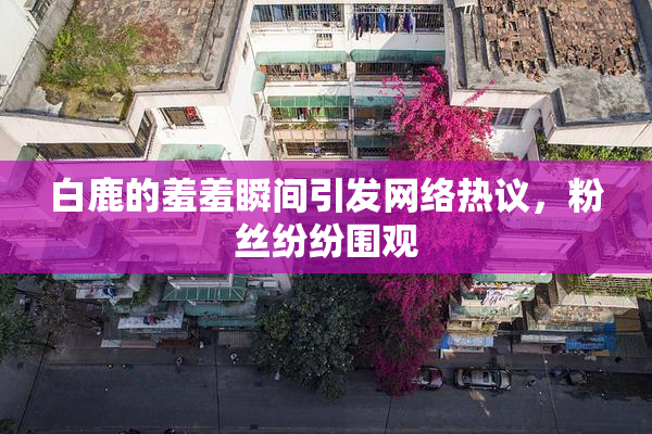白鹿的羞羞瞬间引发网络热议，粉丝纷纷围观