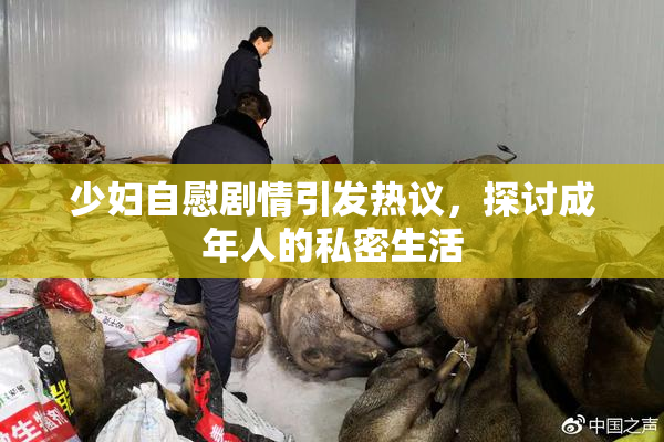 少妇自慰剧情引发热议，探讨成年人的私密生活