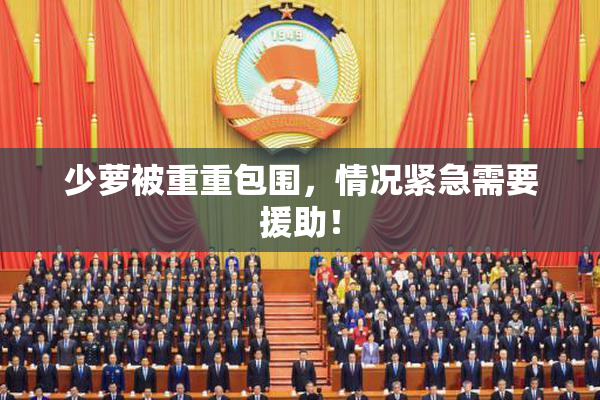 少萝被重重包围，情况紧急需要援助！