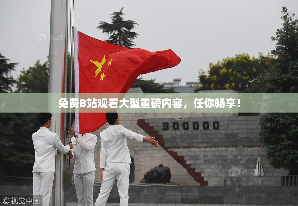 免费B站观看大型重磅内容，任你畅享！