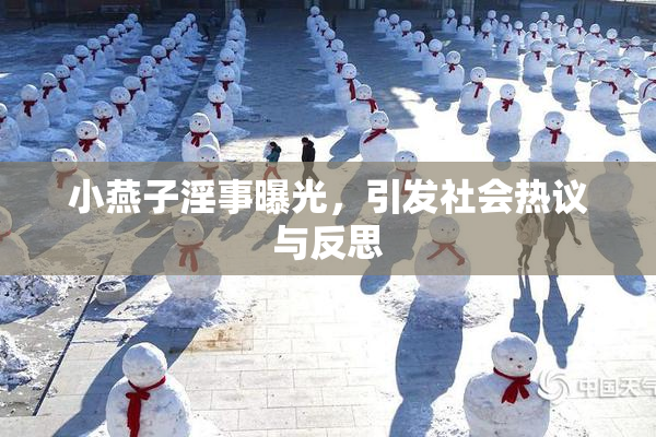 小燕子淫事曝光，引发社会热议与反思