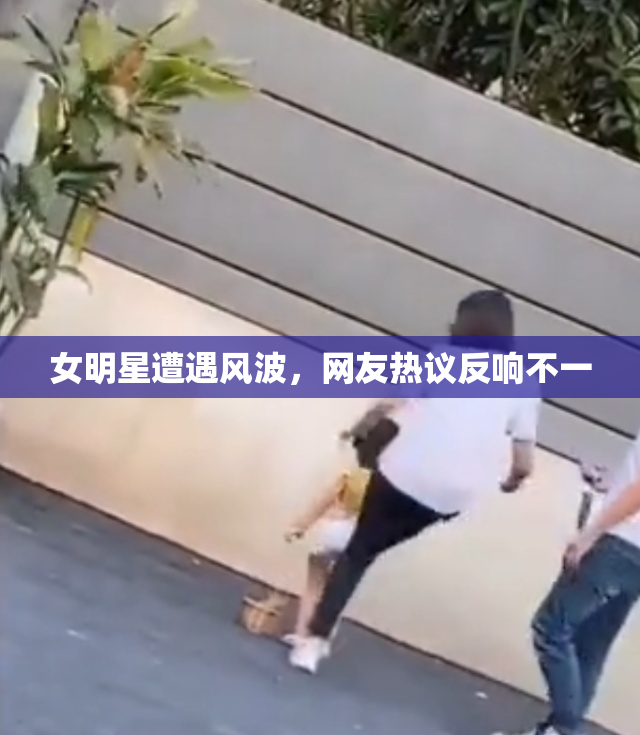 女明星遭遇风波，网友热议反响不一