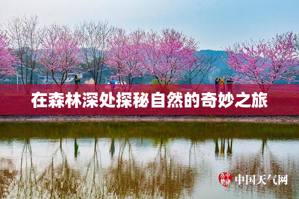 在森林深处探秘自然的奇妙之旅