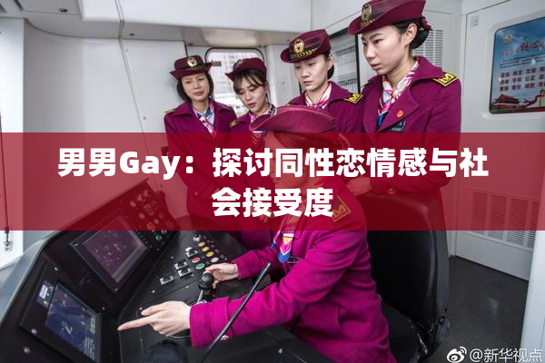男男Gay：探讨同性恋情感与社会接受度