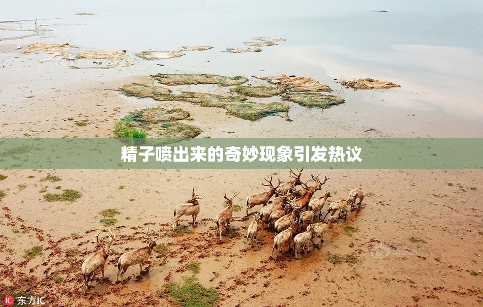 精子喷出来的奇妙现象引发热议