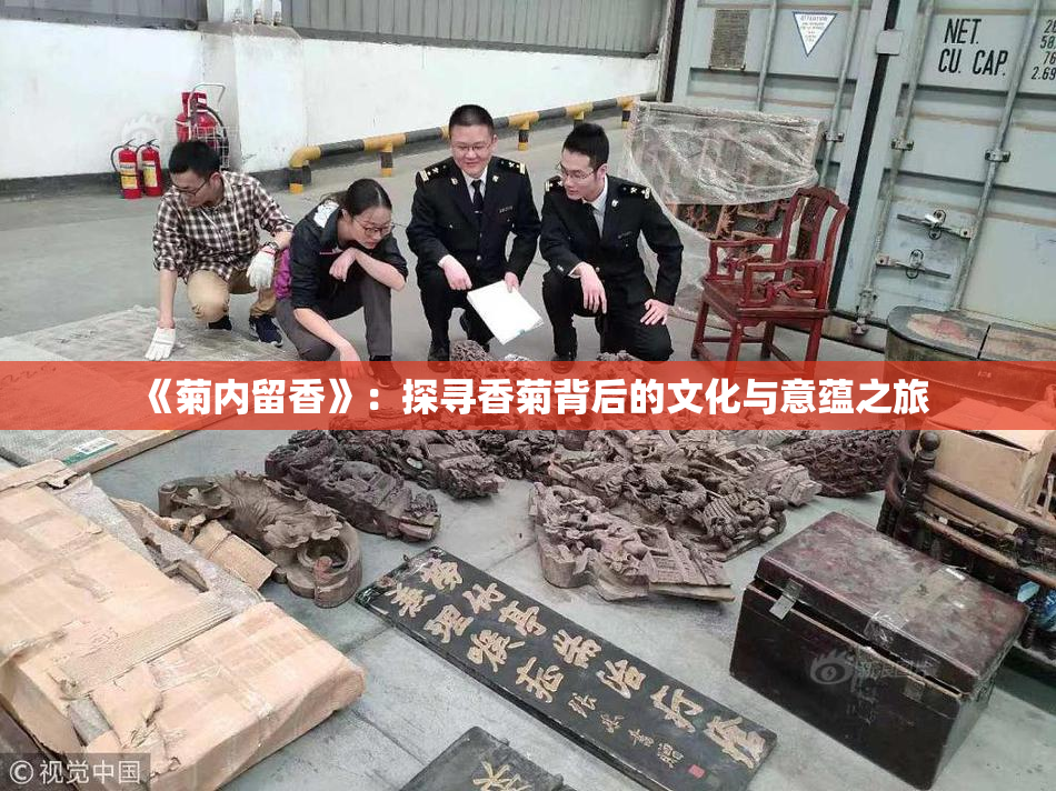 《菊内留香》：探寻香菊背后的文化与意蕴之旅