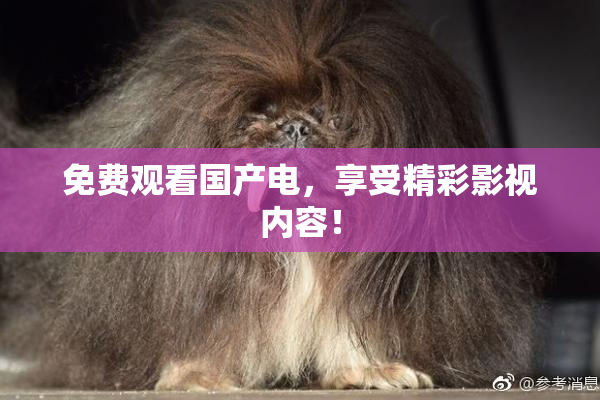 免费观看国产电，享受精彩影视内容！