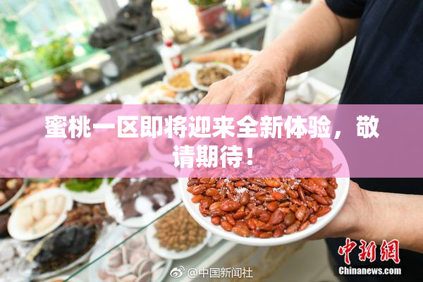 蜜桃一区即将迎来全新体验，敬请期待！