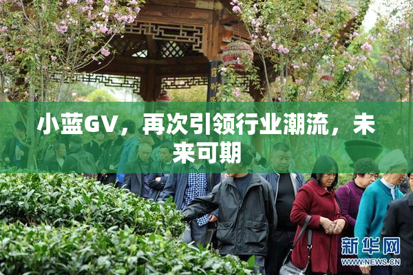 小蓝GV，再次引领行业潮流，未来可期